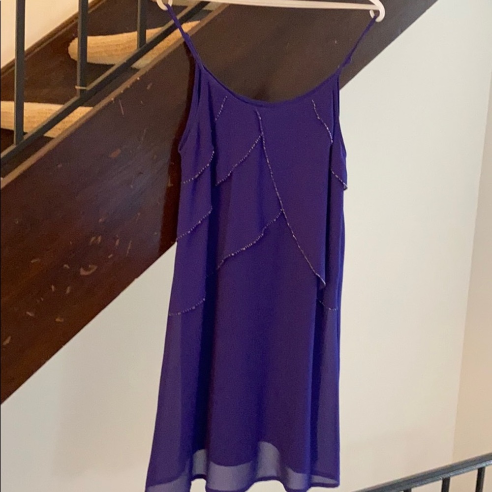 Luxe Apothetique Beaded Dress